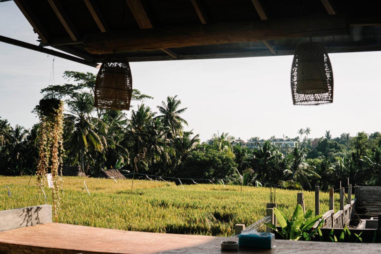 Raditya Villa Ubud Dış mekan fotoğraf
