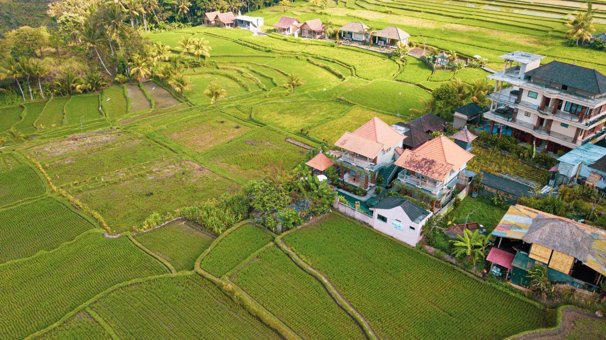 Raditya Villa Ubud Dış mekan fotoğraf